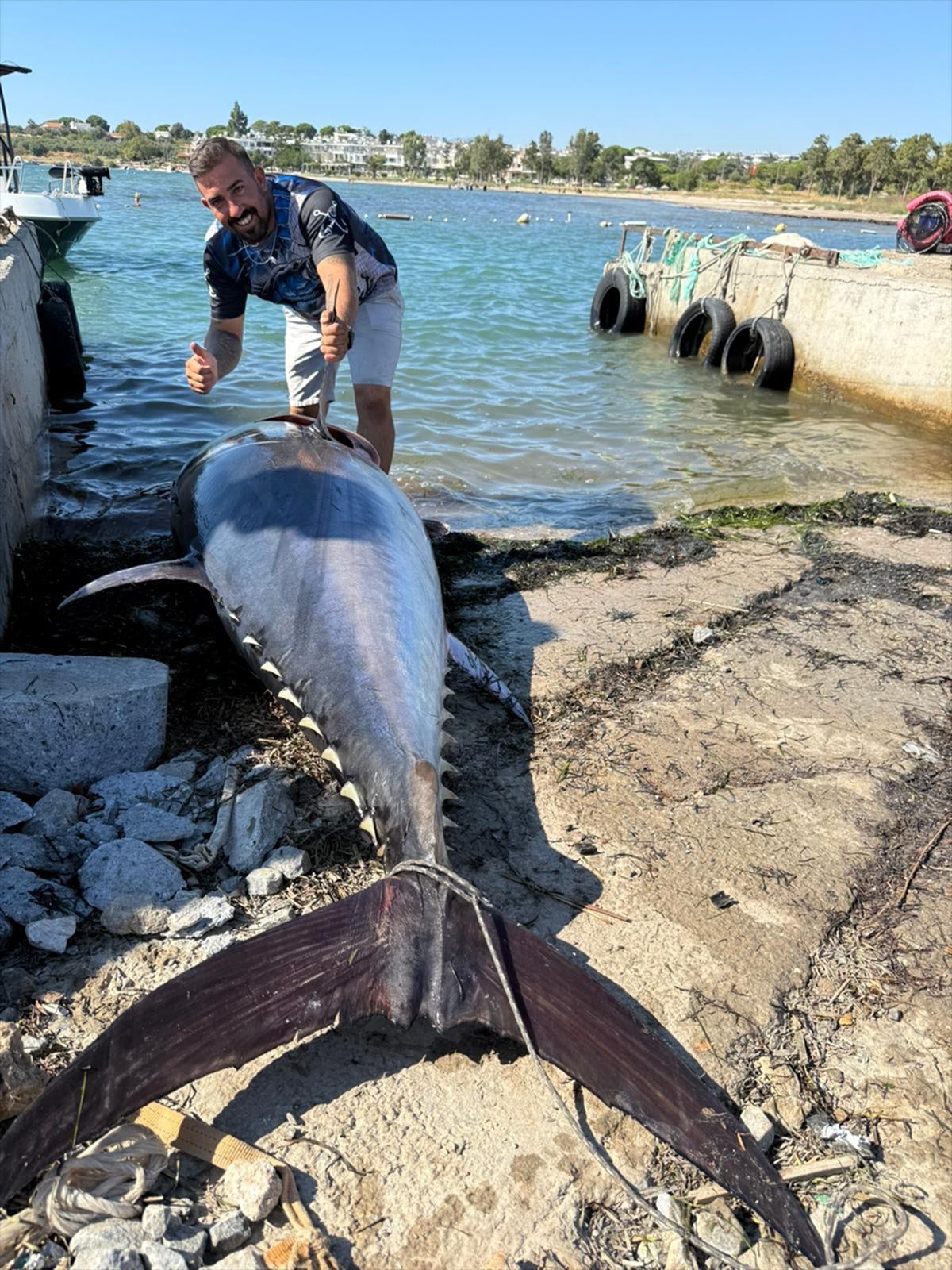 Didim'de Rekor Orkinos Avı: 2.30 Metre, 260 Kilo