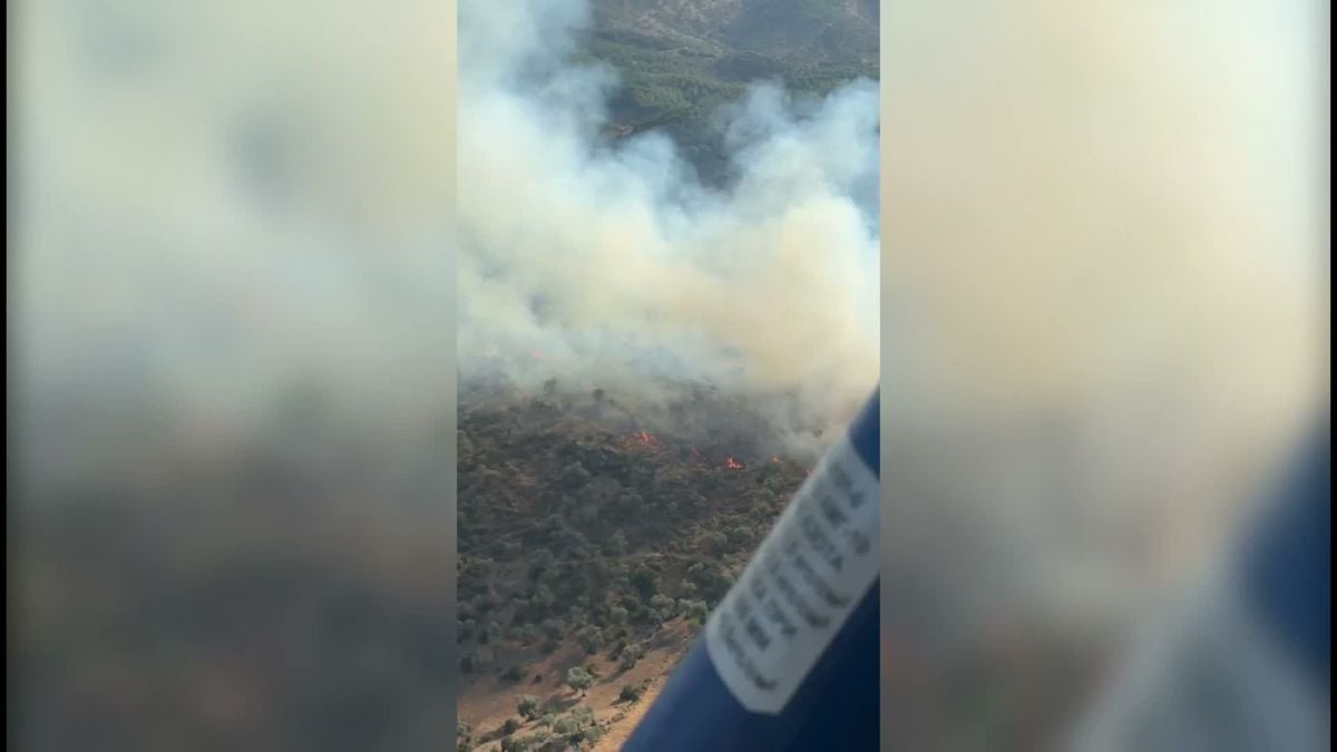 Çine'de Orman Yangınına Havadan ve Karadan Müdahale
