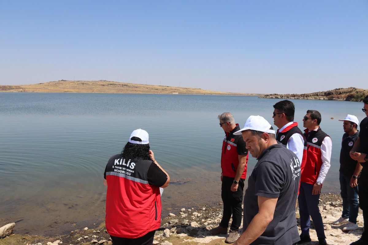 Kilis'te Su Kaynaklarına 600 Bin Balık Bırakıldı