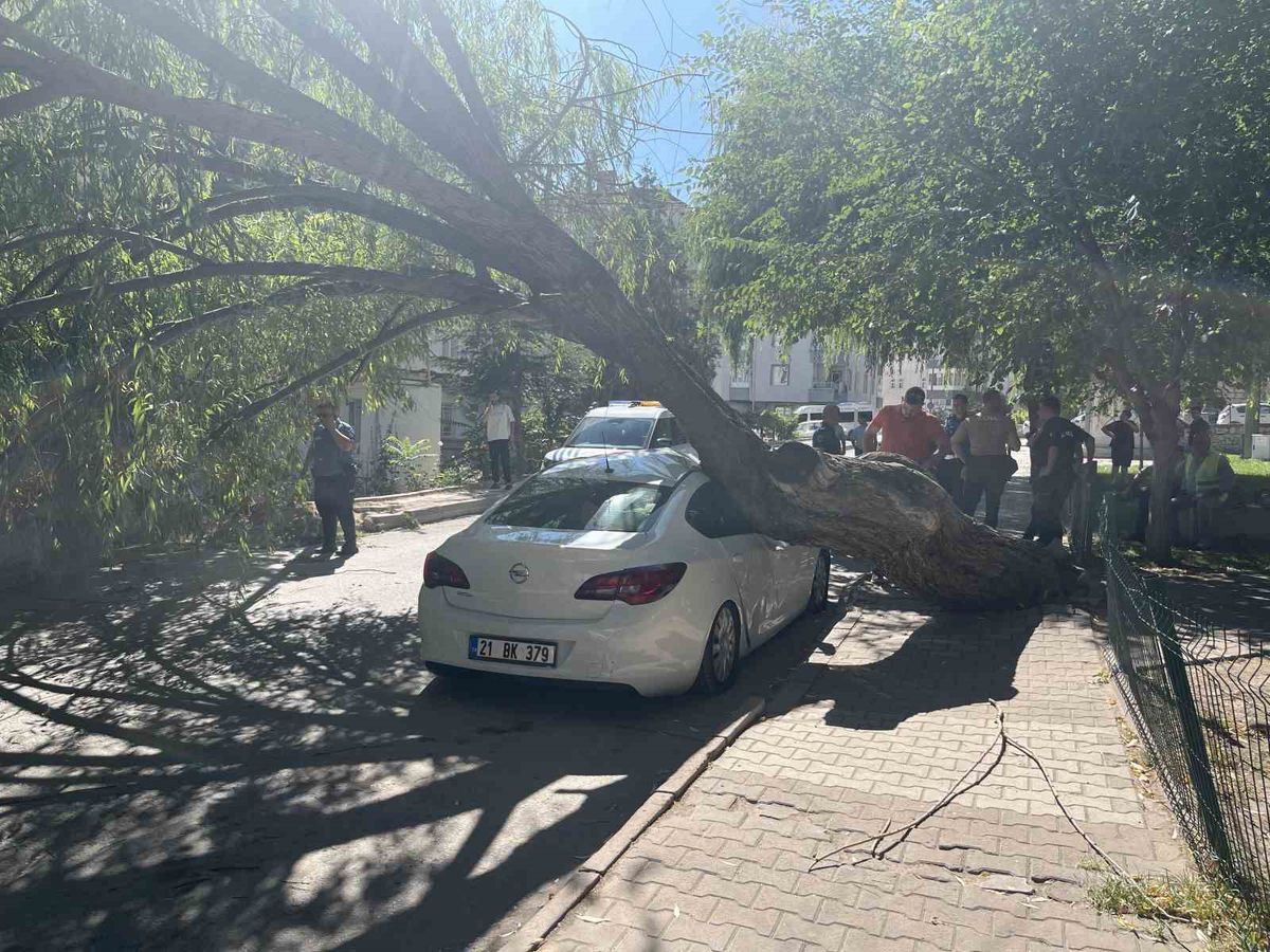 Niğde'de Ağaç Park Halindeki Otomobilin Üzerine Devrildi